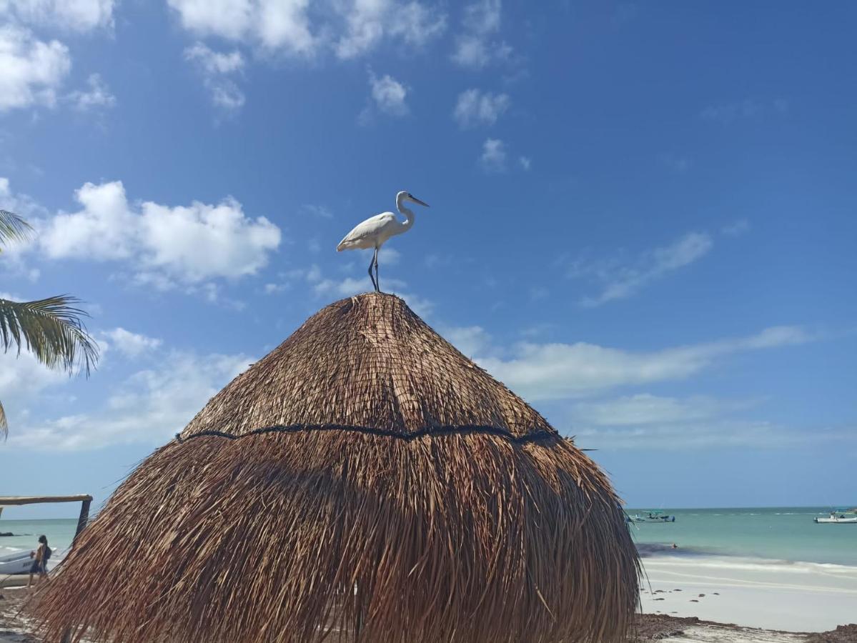 Hostel Utopia Isla Holbox Exterior photo