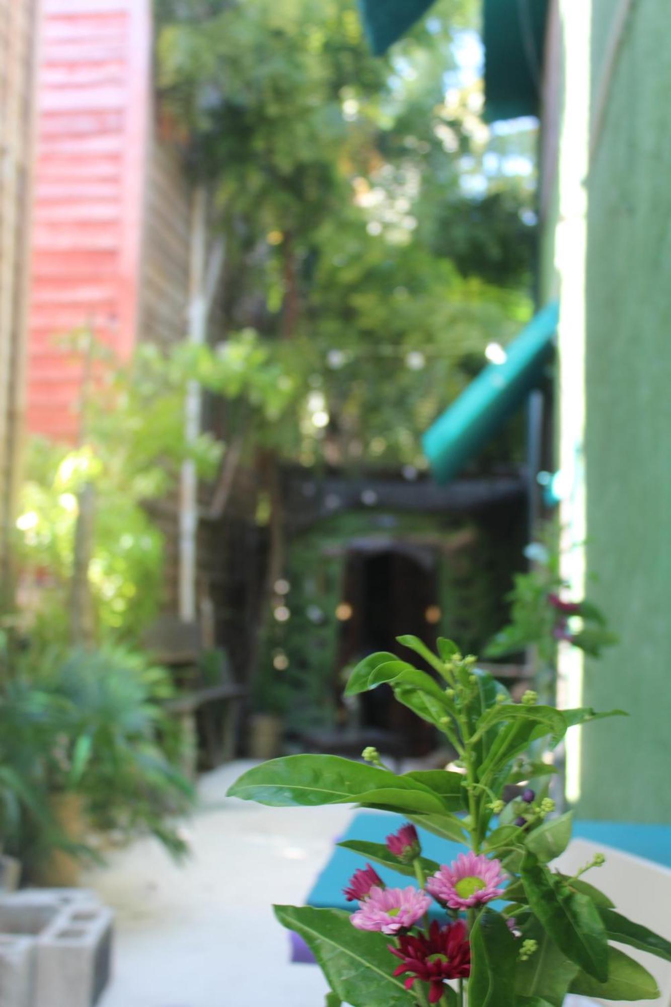 Hostel Utopia Isla Holbox Exterior photo